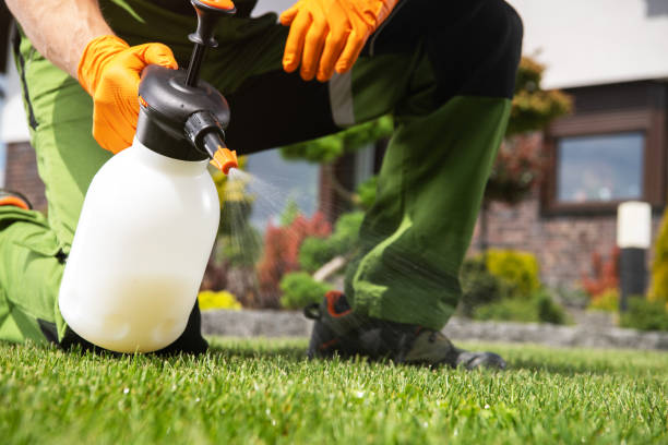 Best Flea Control Services  in Williamsport, PA