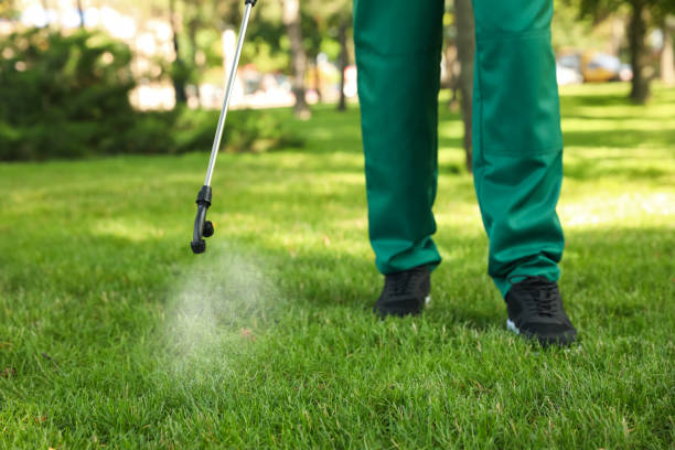 Insect Control in Williamsport, PA
