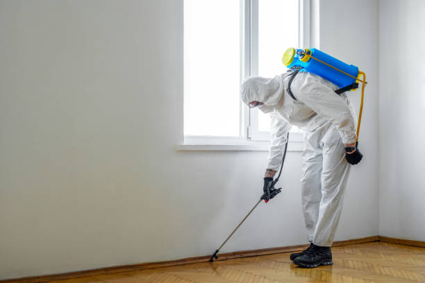 Trusted Williamsport, PA Pest Control Experts