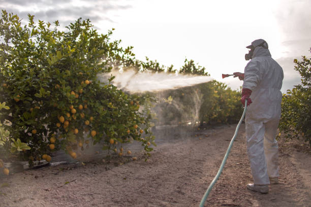 Best Pest Removal Services  in Williamsport, PA