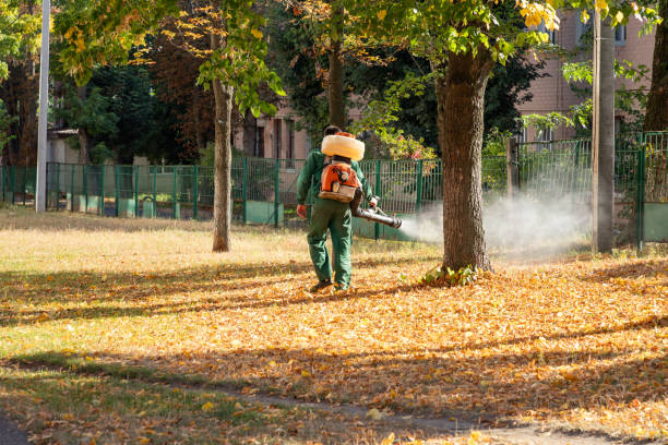 Best Cockroach Control Services  in Williamsport, PA
