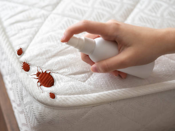 Best Pest Inspection Near Me  in Williamsport, PA