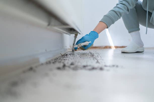 Best Insect Control  in Williamsport, PA