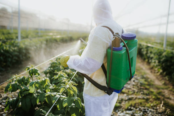 Best Bed Bug Extermination  in Williamsport, PA